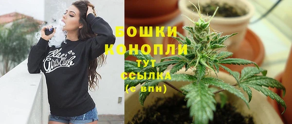 ГАЛЛЮЦИНОГЕННЫЕ ГРИБЫ Баксан
