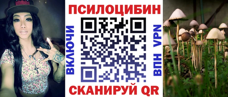 где можно купить   Тутаев  kraken ССЫЛКА  Галлюциногенные грибы Magic Shrooms 